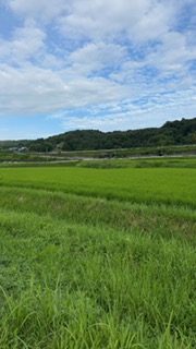 自転車で出社してみて感じたこと